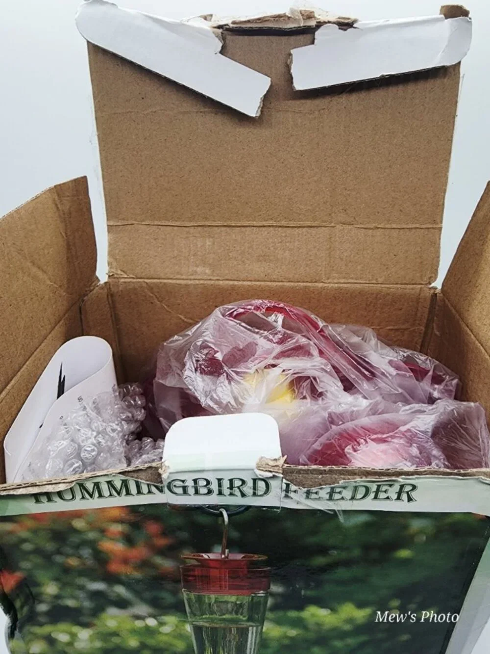 Hummingbird Feeder